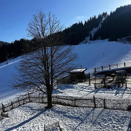Appartement Obinghof Fieberbrunn