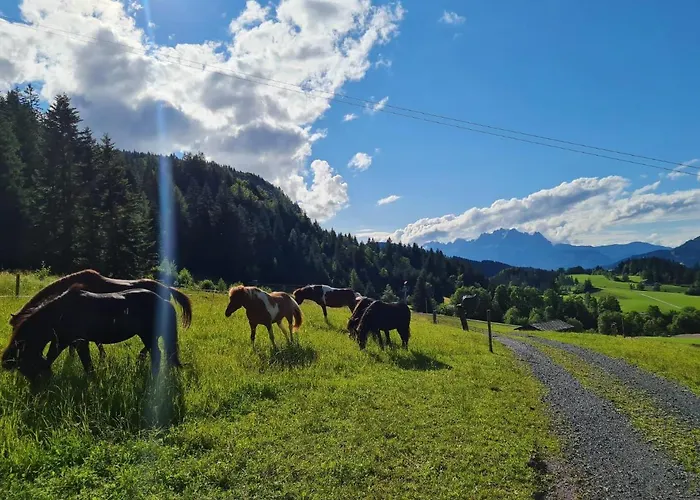 Apartment Obinghof *