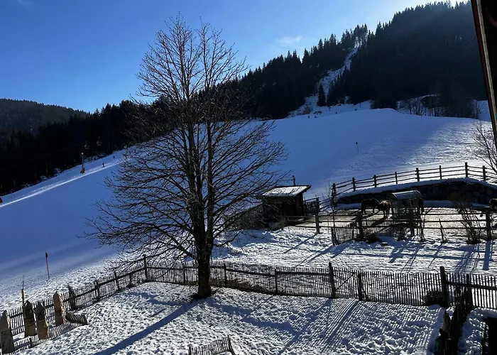 Apartment Obinghof Fieberbrunn